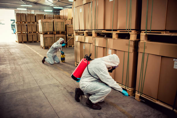 Trusted Fort Ashby, WV Pest Control Experts