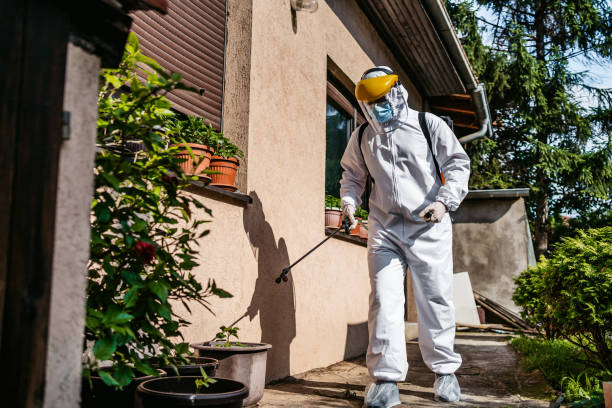 Best Rodent Control Near Me  in Fort Ashby, WV