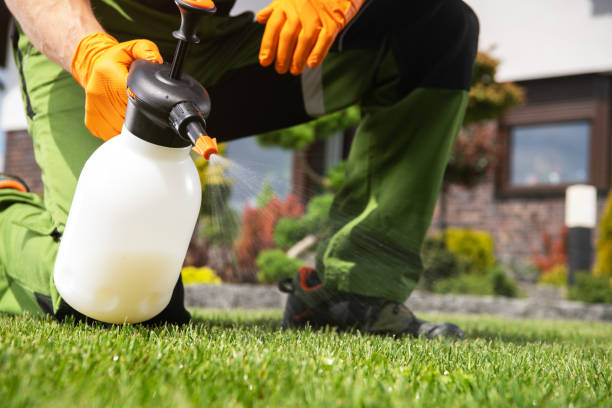 Best Emergency Pest Control  in Fort Ashby, WV