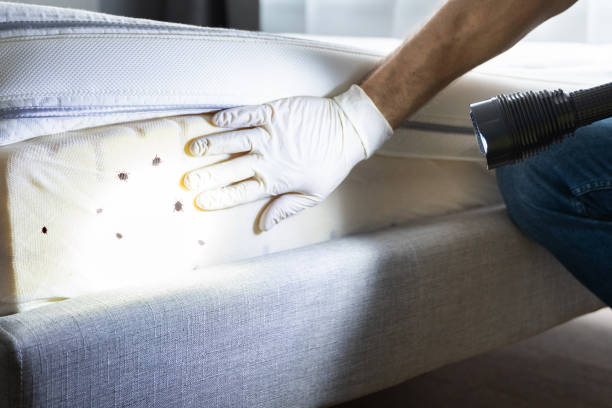 Best Pest Inspection Near Me  in Fort Ashby, WV