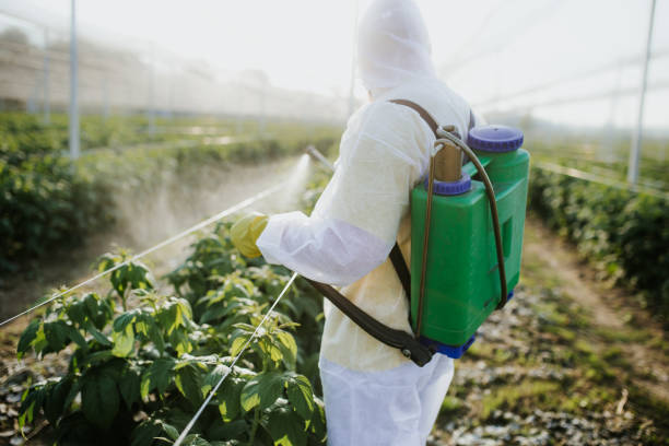 Best Flea Control Services  in Fort Ashby, WV